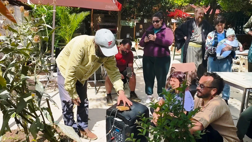 Festival Coopera – Música das Plantas UBQ